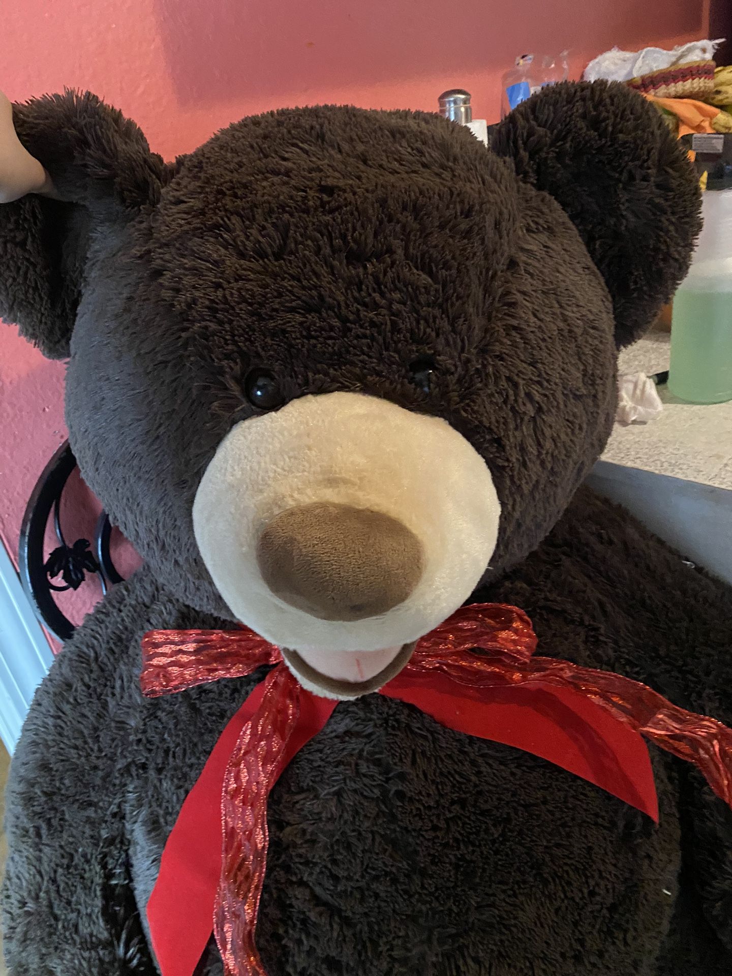 Big Teddy Bear