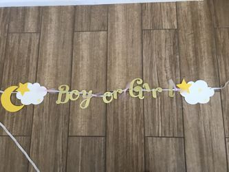 Boy or girl banner