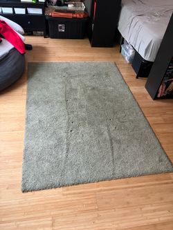 Green Rug 4 x 6
