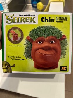 Shrek Chia Pet