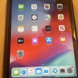 iPad Mini 2