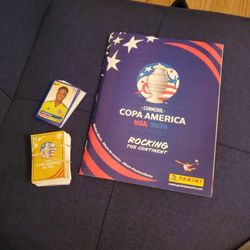 Copa America PANINI