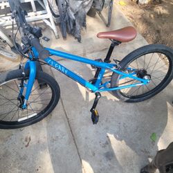 Cleary Owl  20 Inch Kids Bike