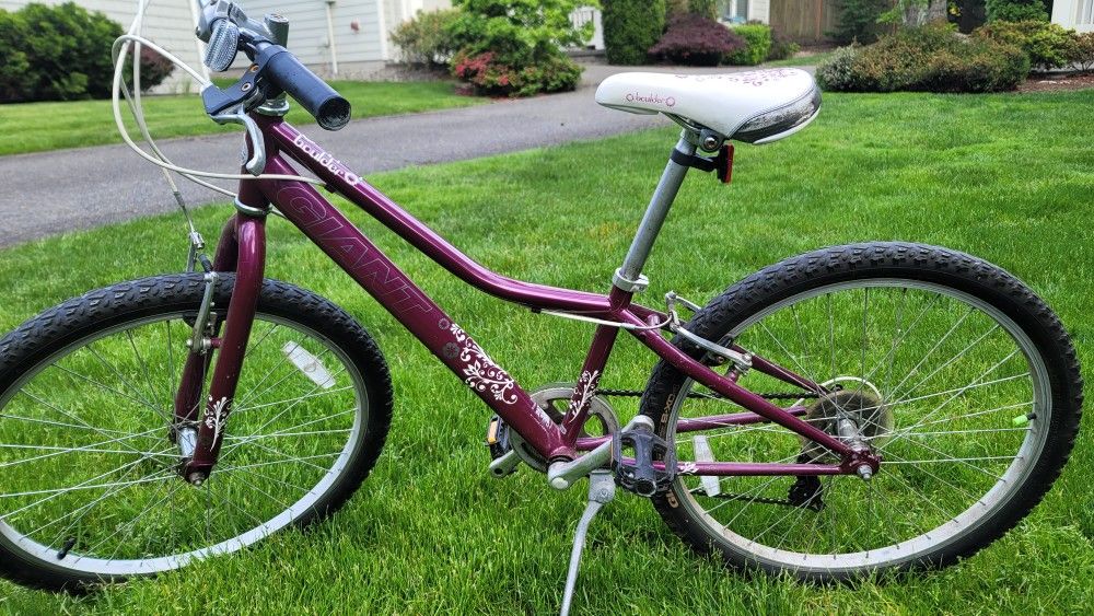 Girl's Giant Bike