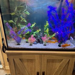 Fish Tank And Stand 