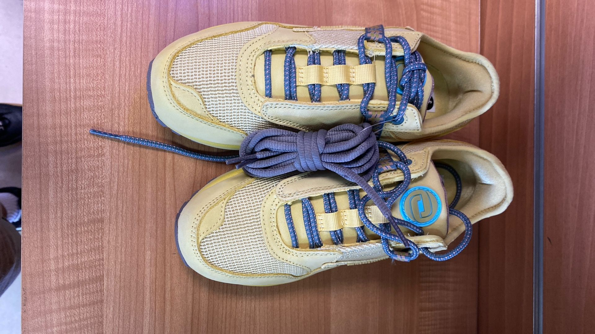 Nikes Cactus Corporation Air Max Ones