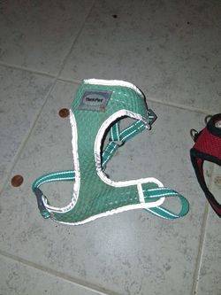 Dog Harnes For Chihuahua, but I need to be cleaned.$5
