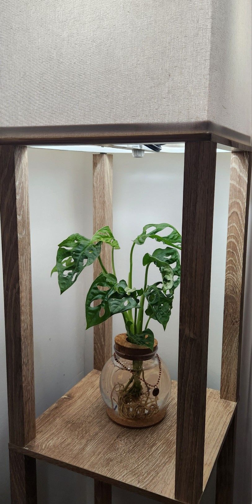 Love In 4 Lenguajes <Perfect Gift >