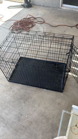 dog cage