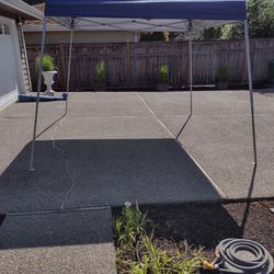 10 x 10 Instant Up Canopy 