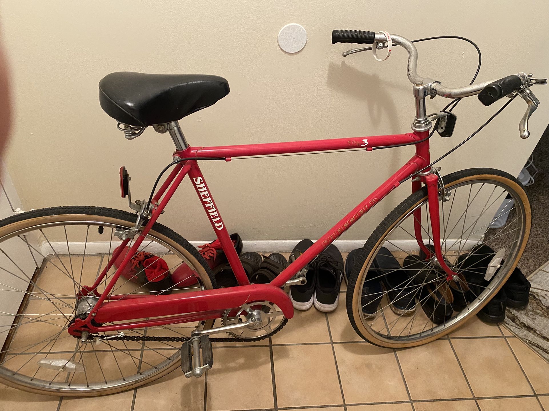 Classic Style Bike