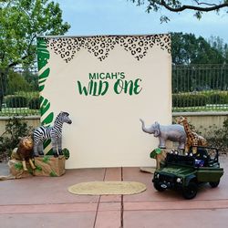 Custom Party Backdrops
