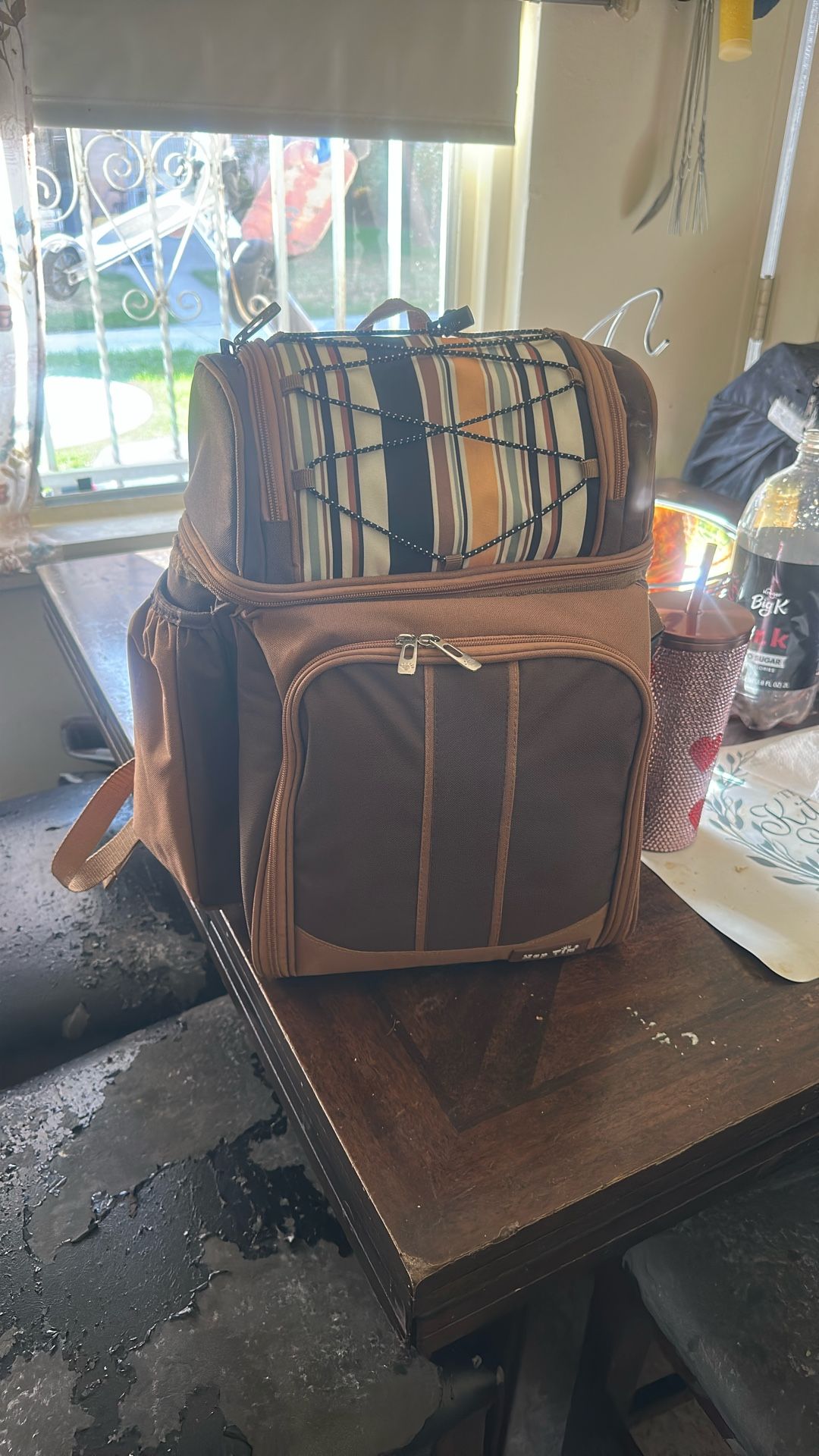 Picnic Backpack Cooler