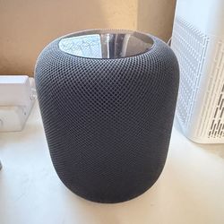 1st Gen Apple HomePod