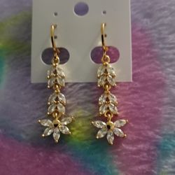 Gold Plated Earrings 
