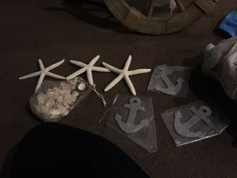 Seashells, starfish and small anchors