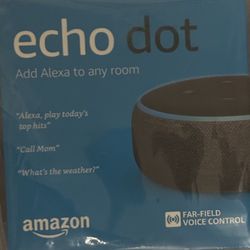 Echo Dot