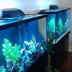 High Quality Aquariums / Fish Tanks