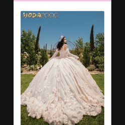 Quince Dress And Accessories 