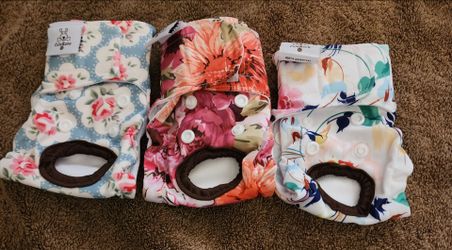 Doggie Diapers XS
