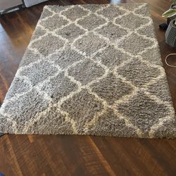 Carpet Rug