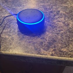 Echo dot 3