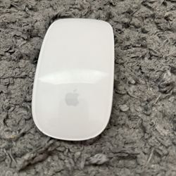 Apple Bluetooth Wireless Mouse 