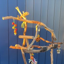 Macaw - Cockatoo Perch Tree … Quite Thick And Curvy !! A Great Socializer And Play Spot For Mr Gnarly !! 💯✅