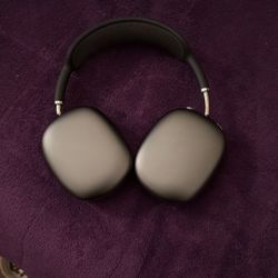 Apple Headphones 