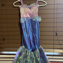 Mermaid Costume 