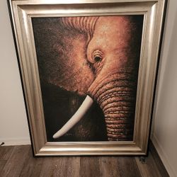 Elephant Picture