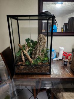 Gecko Tank