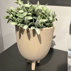 Ceramic plant Pot