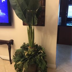 6’ Tall Beautiful Ornament Plant