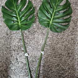 2 Z Gallerie split philo leaf palm artificial 
Set of 2 fake palm leaves for home decor 
Great condition 
Approximately 23" tall and 8.5" wide
