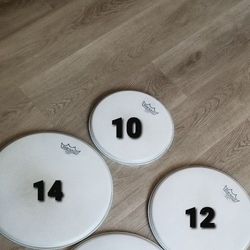 Remo Coated Emperor Heads