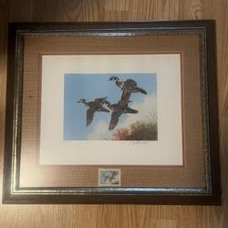 1st of State 1978 WI Wood Ducks signed Print & Stamp Owen Gromme Framed 2360/5800