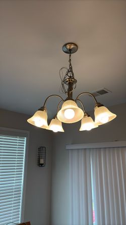 Light Fixture