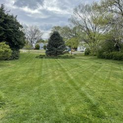 Need A Lawncare Guy?