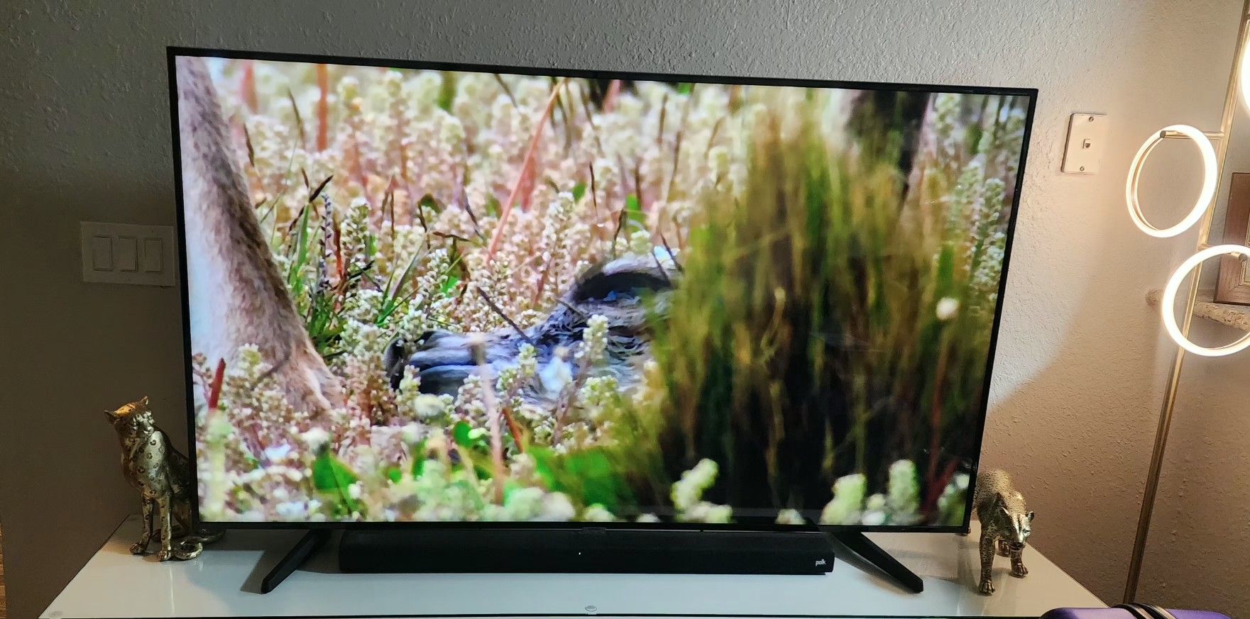 Samsung Tv 