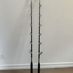 Connley Fishing Deep Drop Rod 60-130