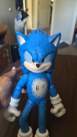 Sonic the hedgehog