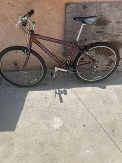 Bike