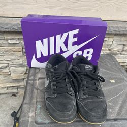 Nike SB Dunk Low Pro