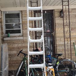 Nice Werner Ladder 