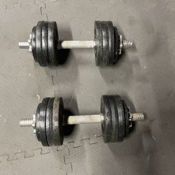 Dumbbells.         65 Dollars 