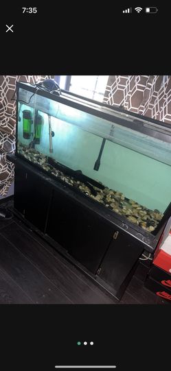 55 Gallon Tank and Stand