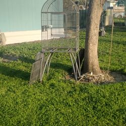 Bird Cage 🐦
