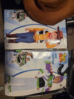 Woody & Buzz costume