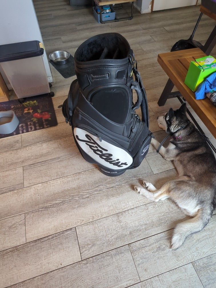 Leather Titleist Golf Bag
